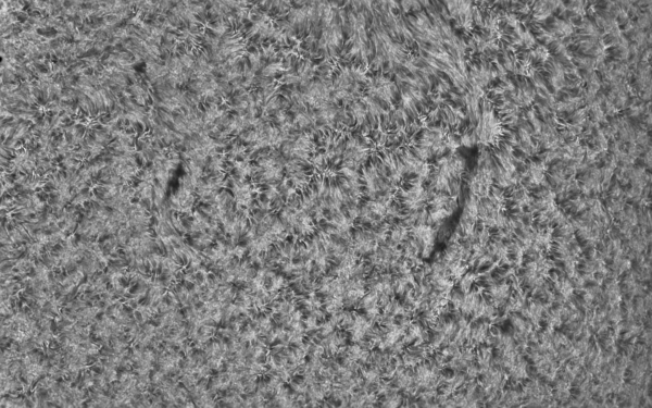 2019.07.06 Sun H-Alpha - Astrophotography
