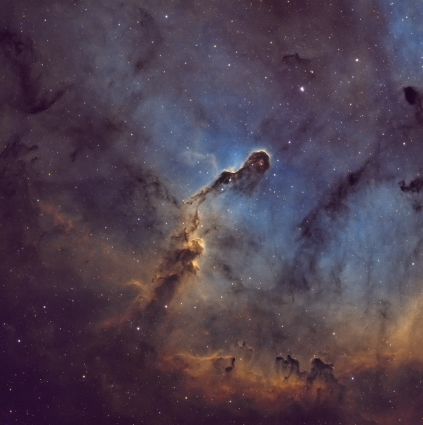 Elephant Trunk Nebula - IC 1396 - Astrophotography