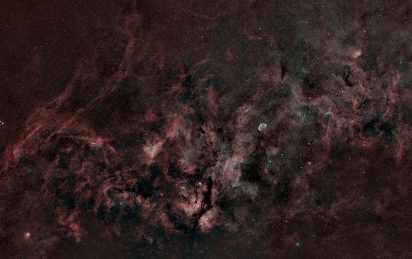 Cygnus (Mosaic of 6 panels) - Astrophotography