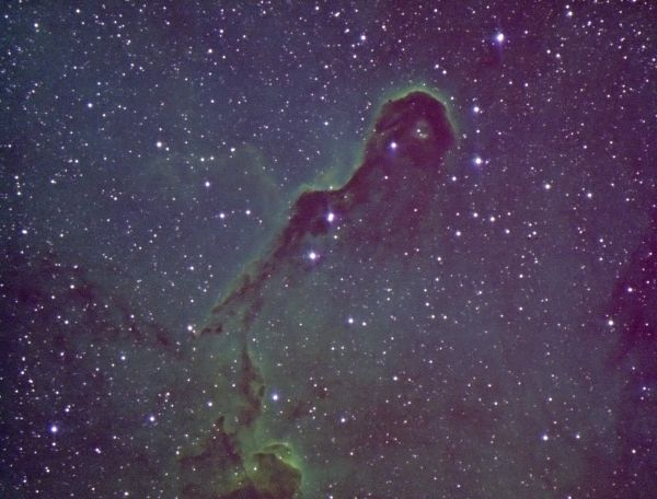 IC 1396A Elephant's Trunk - Astrophotography