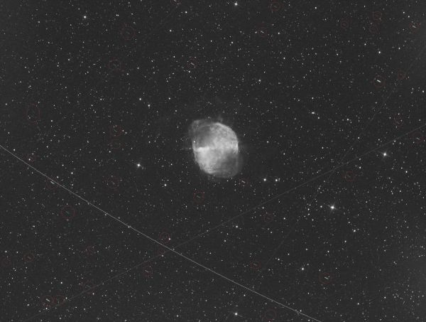 WTF ? Starlinks ? =) - Astrophotography