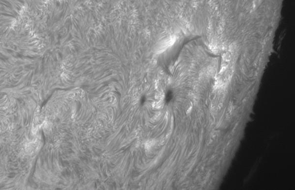 Animation of region 4114 for 45min. June 22, 2025. - Astrophotography