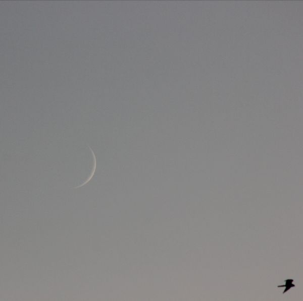 Moon - Astrophotography