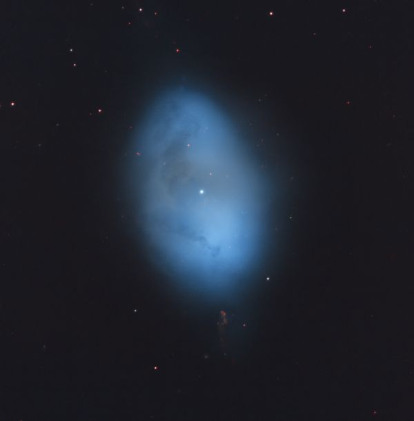 NGC1360 - Astrophotography