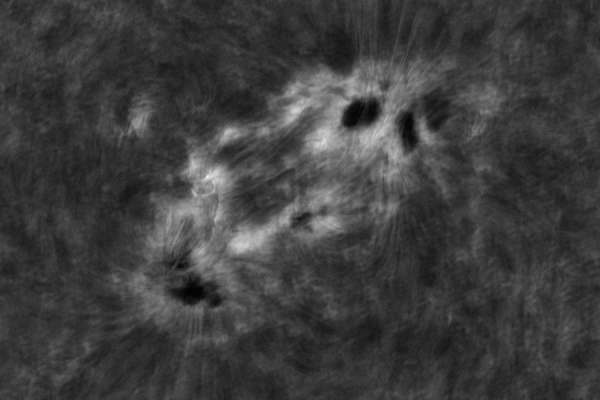 2020.10.26 Sun AR12778 Ha/Continuum/CaK animation - Astrophotography
