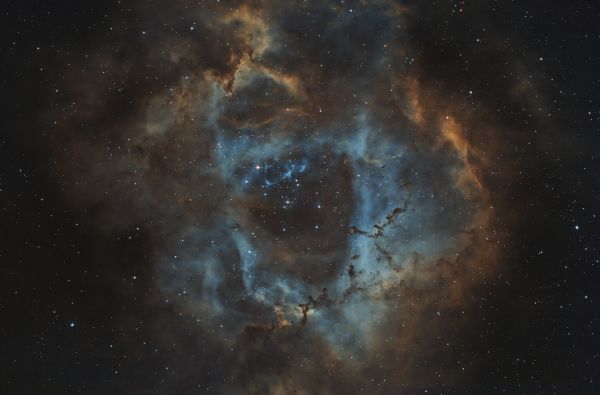 NGC 2237 - Rosette Nebula - Astrophotography