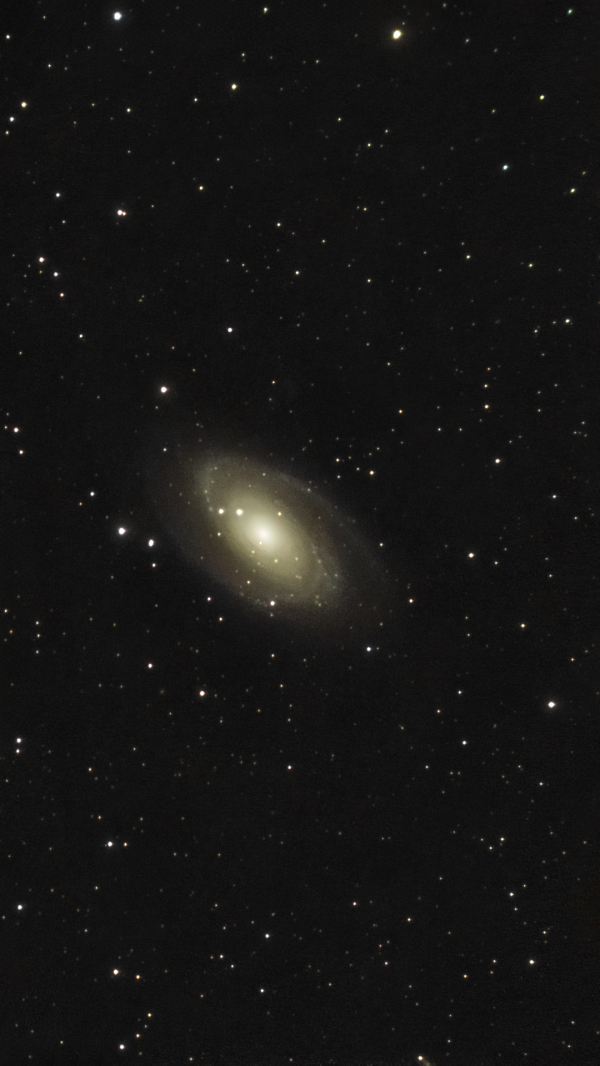 M81 - Bode's Galaxy - Astrophotography