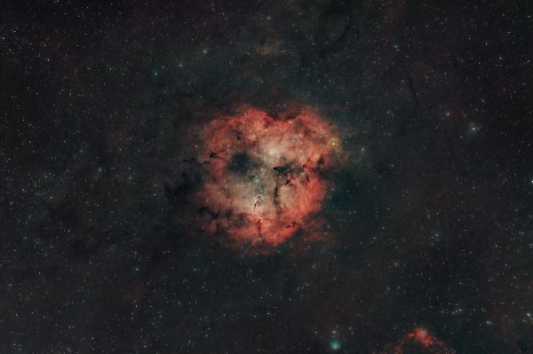 Elephant's Trunk - Astrophotography