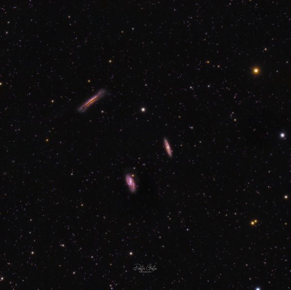 Leo triplet M65, M66, NGC 3628. - Astrophotography