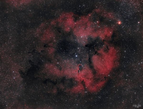 IC1396, Elephant's trunk nebula - Astrophotography