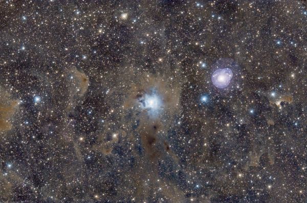 Iris - Astrophotography