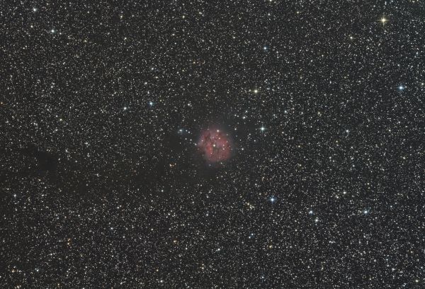 IC 5146 - Cocoon Nebula - Astrophotography