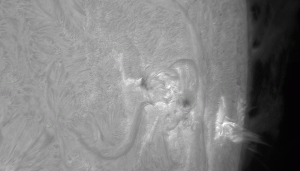 M1.2 Flare Animation, June 8, 2024 - Astrophotography