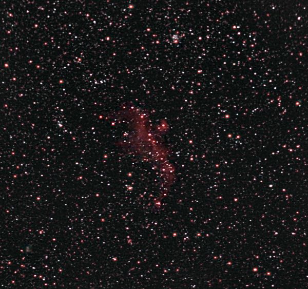 IC 2177 - The Seagull Nebula - Astrophotography