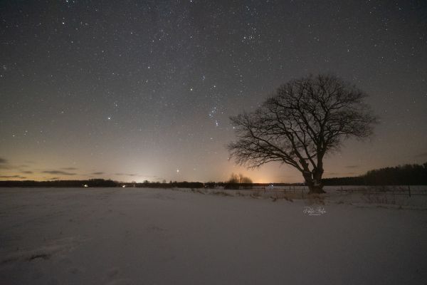 Winter views vol.2 - Astrophotography