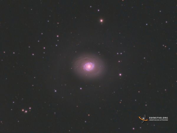 Galaxy M94 in Canes Venatici - Astrophotography