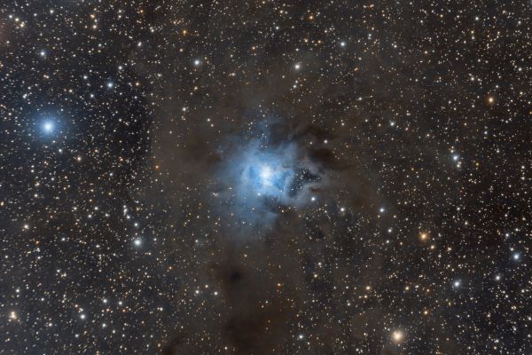 NGC7023 Iris - Astrophotography