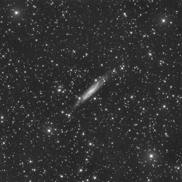 NGC 7640 - Astrophotography