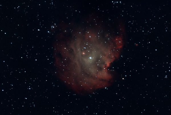 NGC2175 - Astrophotography