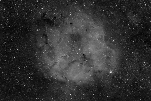 ELEPHANT TRUNK IN Ha - Astrophotography