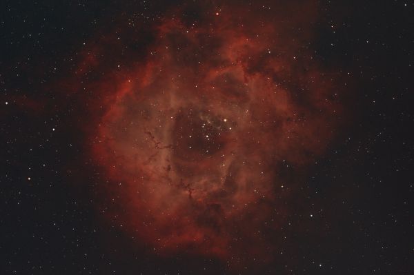 NGC2244 Rosette Nebula - Astrophotography