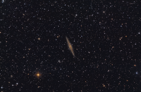NGC 891 - Astrophotography