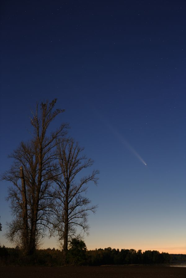 C2023 A3 Tsuchinshan-ATLAS 16/10/2024 - Astrophotography