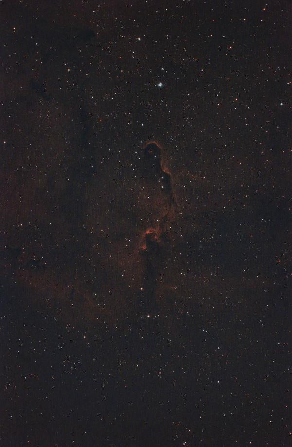 Elephant's Trunk Nebula - Astrophotography