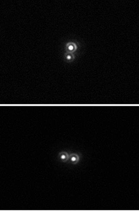 Epsilon Lyrae 1 and 2 (double stars) - Astrophotography