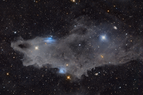 "Dark Shark" LDN 1235 - Astrophotography