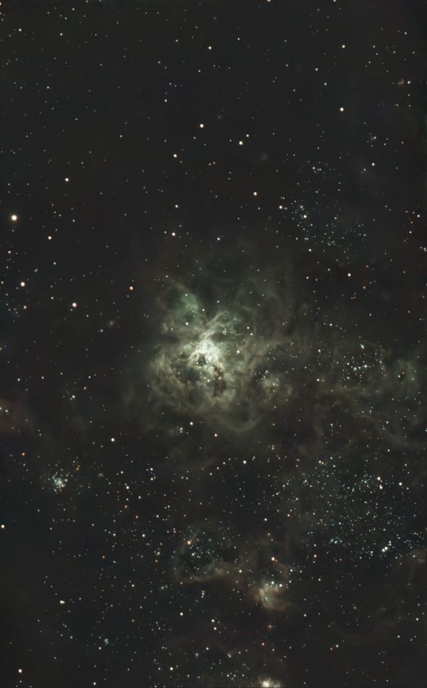 Tarantul - Astrophotography