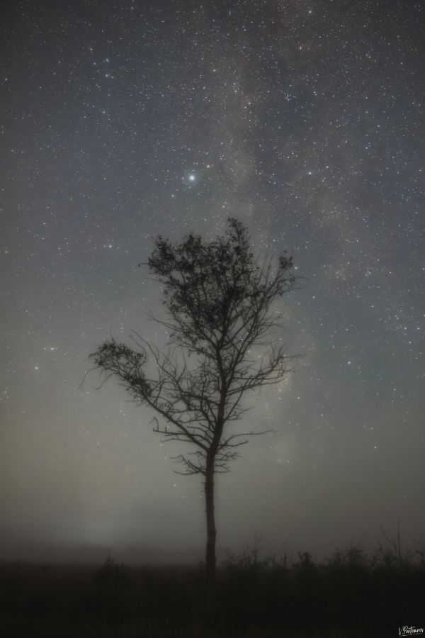 In the silence of the night... - Astrophotography