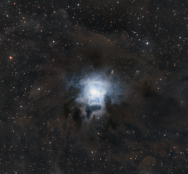 Iris Nebula (NGC7023) - Astrophotography