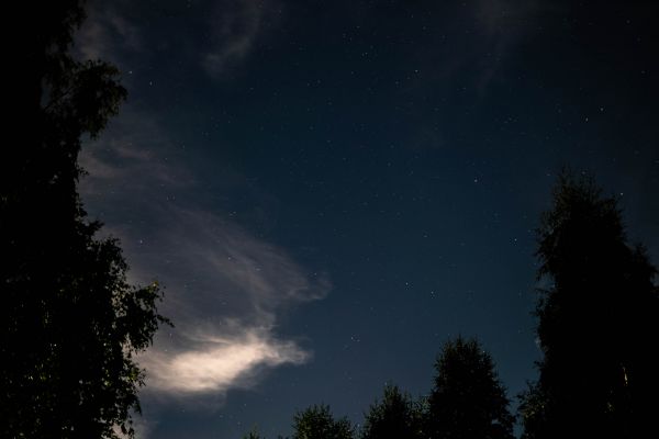 Night Sky - Astrophotography