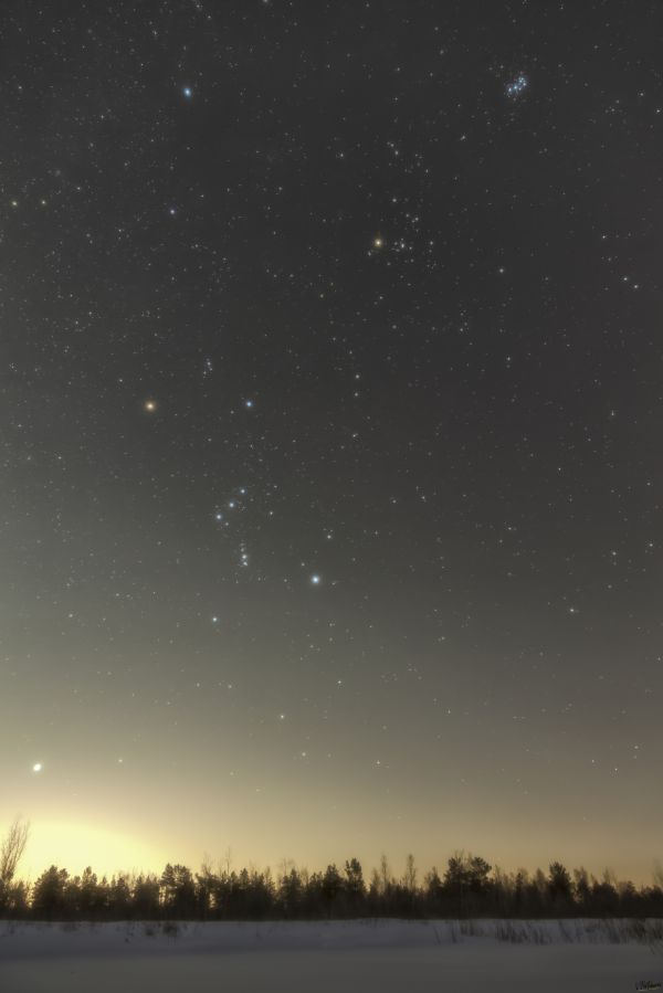 The Pleiades Hunter - Astrophotography