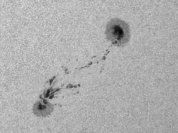 Sun. Animation of sunspot group 3807 over 33 minutes - Astrophotography