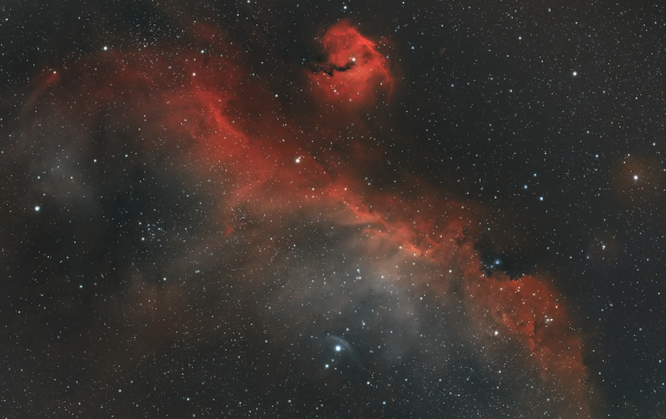 Seagull Nebula, IC 2177 - Astrophotography