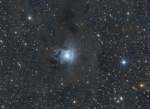 NGC7023 - Astrophotography