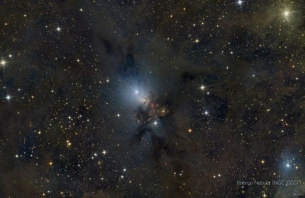 NGC 1333 - Astrophotography