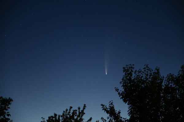 C/2020 F3 (NEOWISE) - Astrophotography