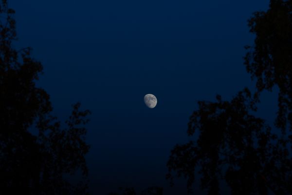 Moon - Astrophotography