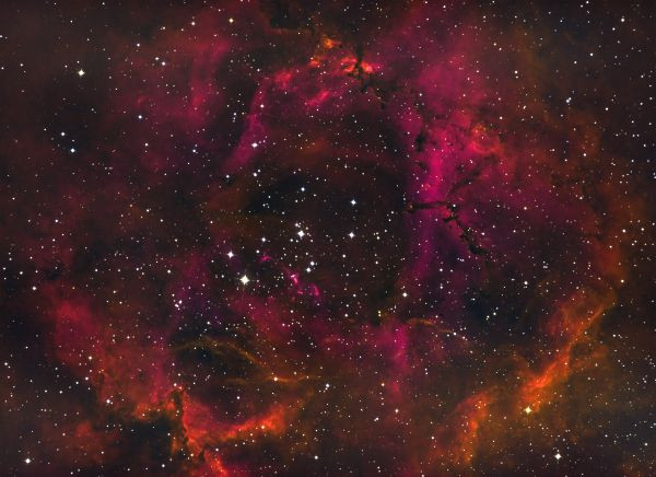 NGC 2244 Rosette - Astrophotography