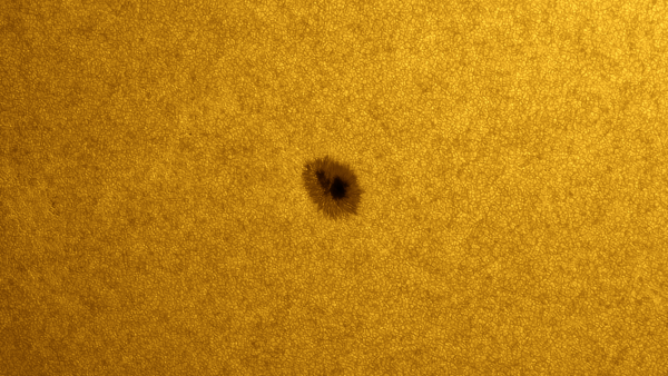 Sunspot 3001 - Astrophotography
