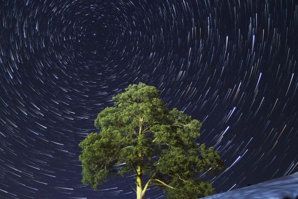 Frosty star trails - Astrophotography