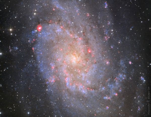 Galaxy M33 in HaLRGB - Astrophotography