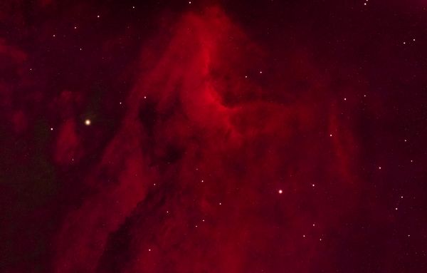 Pelican Nebula (IC 5070) - Astrophotography