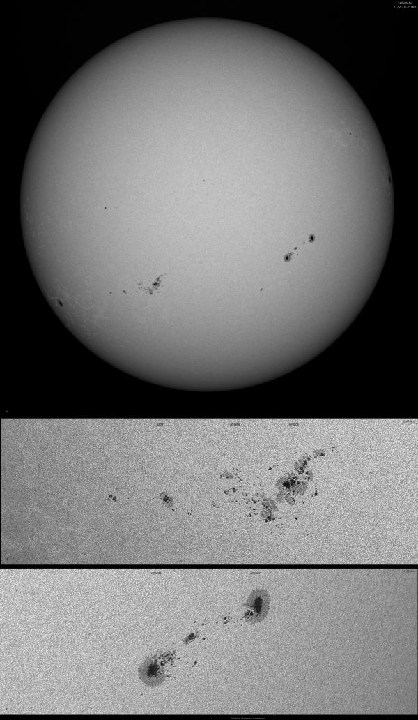 Photosphere of the Sun on September 1, 2024. - Astrophotography