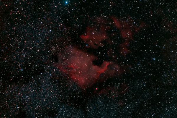 North America Nebula (NGC 7000) - Astrophotography