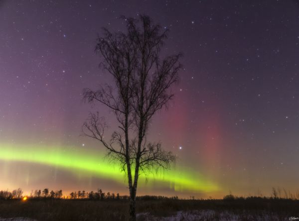 Aurora near the village of Redkino, Tver region, 03.03.2024 - Astrophotography