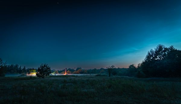 Veil - Astrophotography